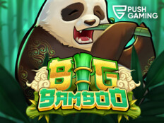 Springbok casino bonus codes37